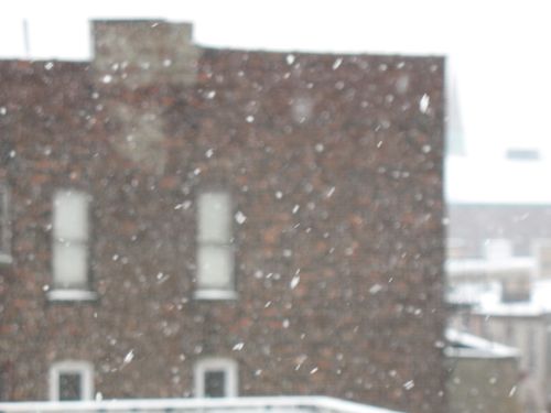 12207-hoboken-snow2-003a.jpg