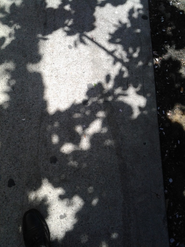 IMG_20130501_150027