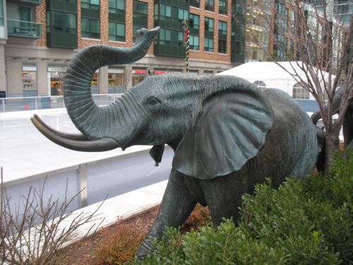 Elephants by an ice rink
