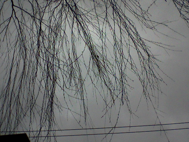 March 30 2010 Photo-0064